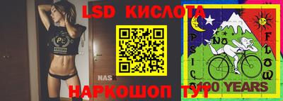гашик Малгобек