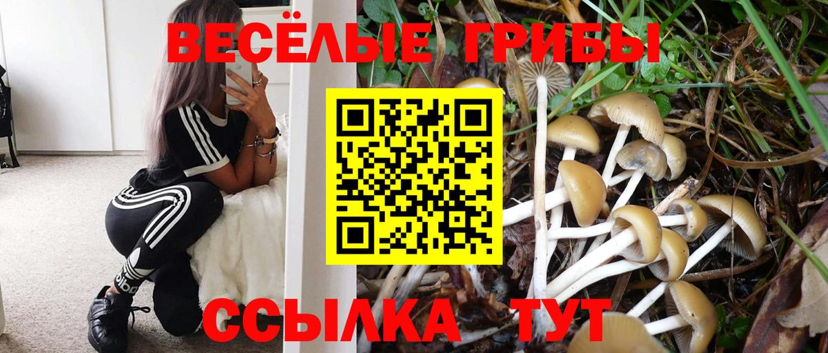 Псилоцибиновые грибы прущие грибы  Псилоцибиновые грибы мухоморы  Ялуторовск  Вход с VPN 